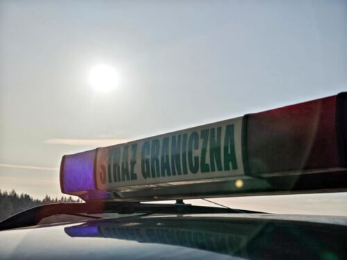 Zatrzymani przez funkcjonariuszy Straży Granicznej