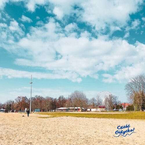 plaża w pogodny dzień