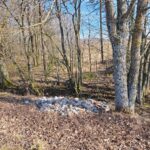 Proponujemy gospodarski rekonesans po Green Velo