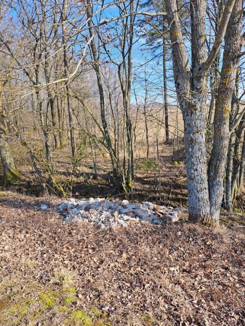 Proponujemy gospodarski rekonesans po Green Velo