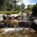 Tu mieszkam, tu zmieniam EKO. Szansa na dotację