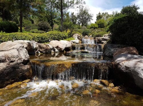 Tu mieszkam, tu zmieniam EKO. Szansa na dotację