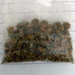 Rutynowa kontrola pojazdu doprowadziła do zabezpieczenia narkotyków