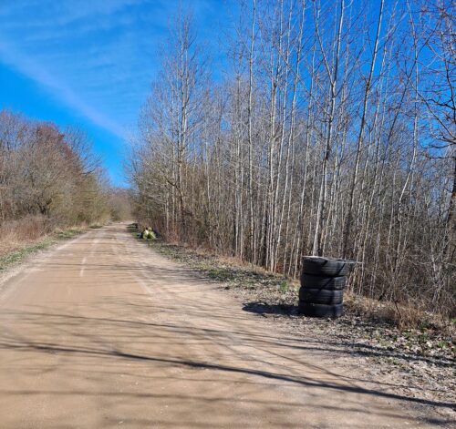 A dziś miła niespodzianka…