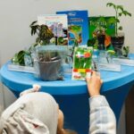 Zielona akcja zakończona sukcesem!