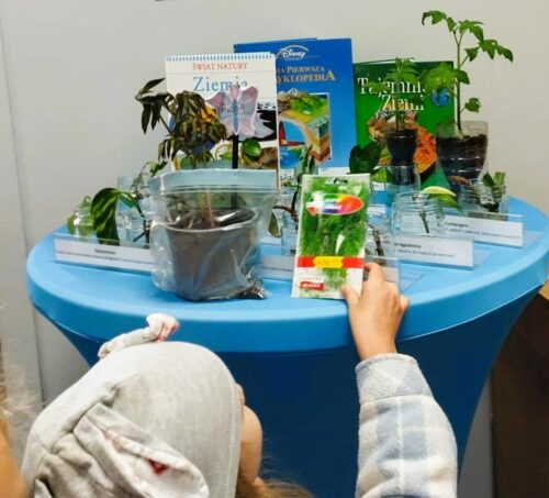 Zielona akcja zakończona sukcesem!