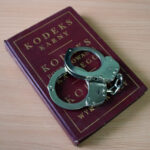 Sprawca kradzieży z włamaniem usłyszał zarzuty