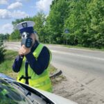 „Kurier pod kontrolą” – działania na drogach powiatu gołdapskiego