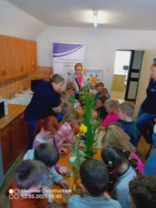 Piątka dla roślin! – przedszkolaki z SP5 na ekologicznych warsztatach
