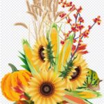 Konkurs na najładniejszy wieniec dożynkowy – 2025