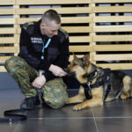 Czworonożni przyjaciele mają swój dzień!