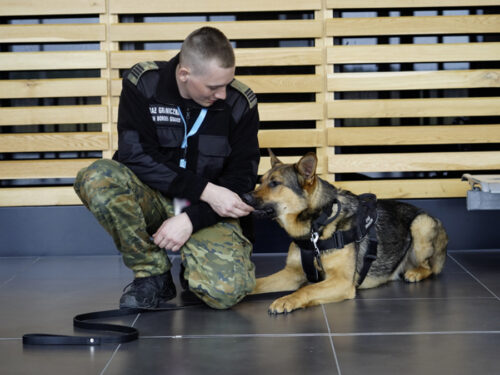 Czworonożni przyjaciele mają swój dzień!
