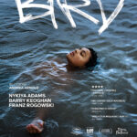 Małomiasteczkowy Klub Filmowy Domu Kultury w Gołdapi zaprasza!