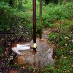 Czytelnik o zagadkowych rurach