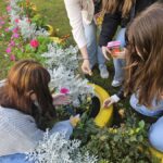 Akcja tulipan w Piątce