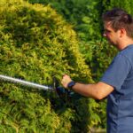 Kompleksowe usługi ogrodnicze – jak zadbać o swój ogród przez cały rok