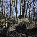 Coś się dzieje wokół pałacu w Mieduniszkach