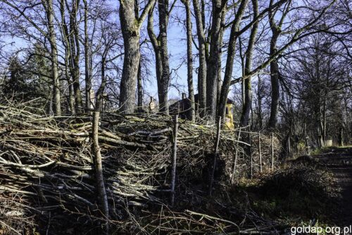 Coś się dzieje wokół pałacu w Mieduniszkach