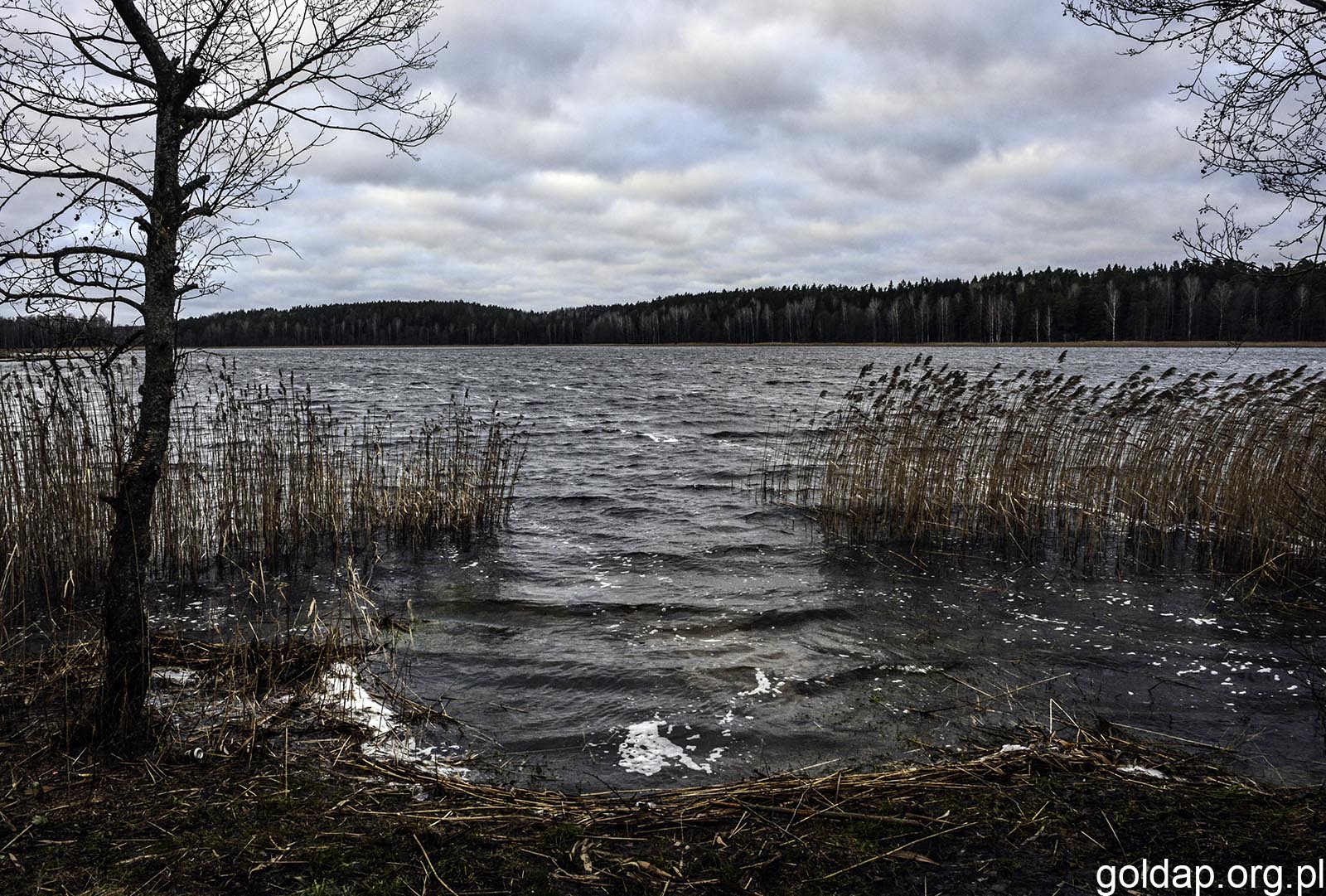 Dziś nad naszym jeziorem