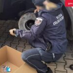 Z regionu. Podsumowanie działań Warmińsko-Mazurskiej Służby Celno-Skarbowej w 2025 roku