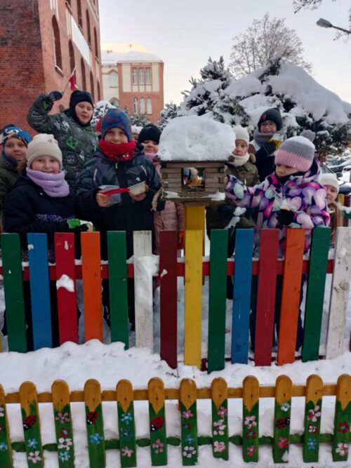 Dokarmianie ptaków – zimowa akcja SP nr 5