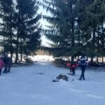 Lisy. Wyjątkowe zajęcia praktyczne