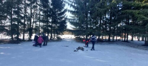 Lisy. Wyjątkowe zajęcia praktyczne