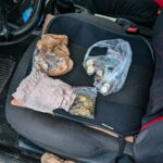 Z regionu. Odpowie za pomocnictwo w handlu ludźmi