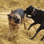 Czytelnicy informują. Niedziela pełna stresu