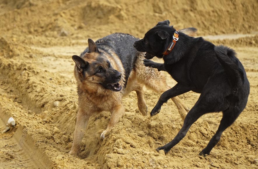 Czytelnicy informują. Niedziela pełna stresu