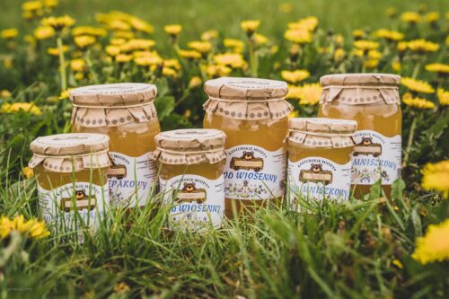 Miód naturalny – dlaczego warto wybierać produkty z pasieki i gdzie kupować najlepsze miody