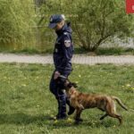 Z regionu. Urocza Maja dołączyła do Warmińsko-Mazurskiej KAS