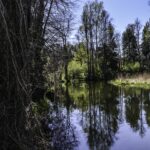 List do redakcji.Głos w dyskusji / Nawiązanie do artykułu dot. stosunków hydrologicznych i rolnictwa w regionie