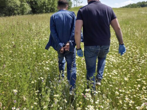 Gruzin przewoził cudzoziemców