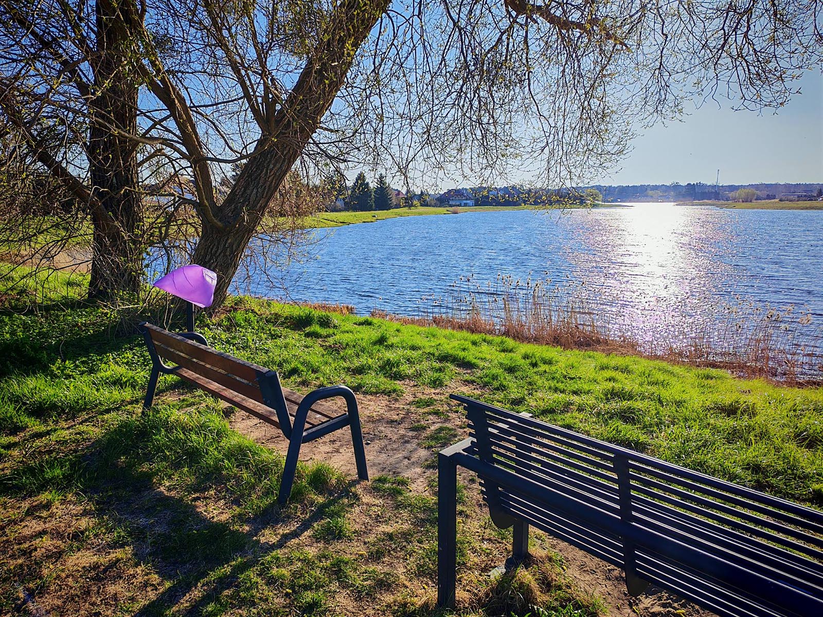 Pozdrawiamy z okazji Światowego Dnia Ochrony Środowiska