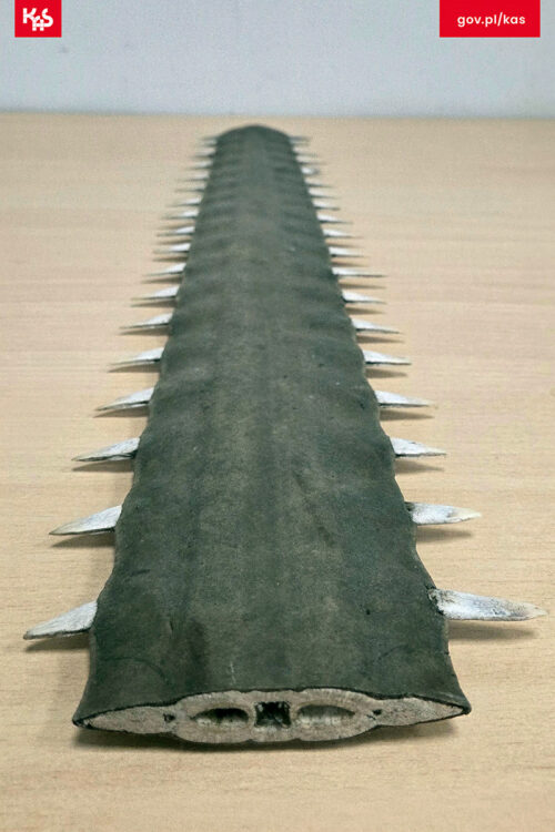 Ze regionu. Pamiątka, która okazała się chronionym okazem. Funkcjonariusze Warmińsko-Mazurskiej KAS ujawnili okaz CITES na granicy