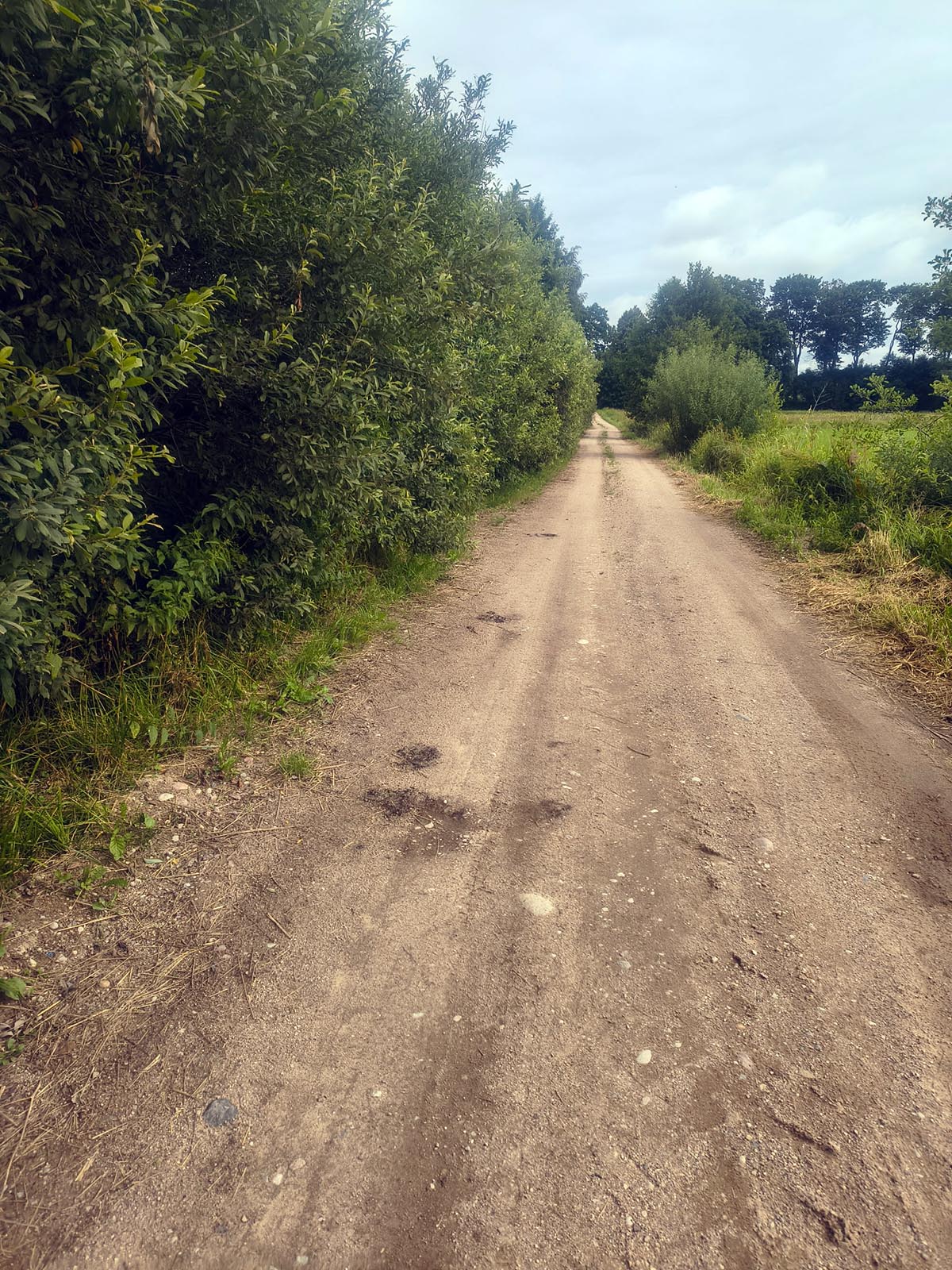 Czytelnicy informują. Tak wygląda droga Kośmidry–Bałupiany…
