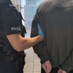 Tymczasowy areszt dla 42-latka. Policjanci zebrali materiał dowodowy w sprawie 12 przestępstw
