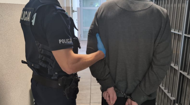 Tymczasowy areszt dla 42-latka. Policjanci zebrali materiał dowodowy w sprawie 12 przestępstw