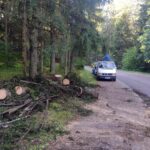 Uwaga! Usuwamy drzewa uszkodzone przez nawałnicę