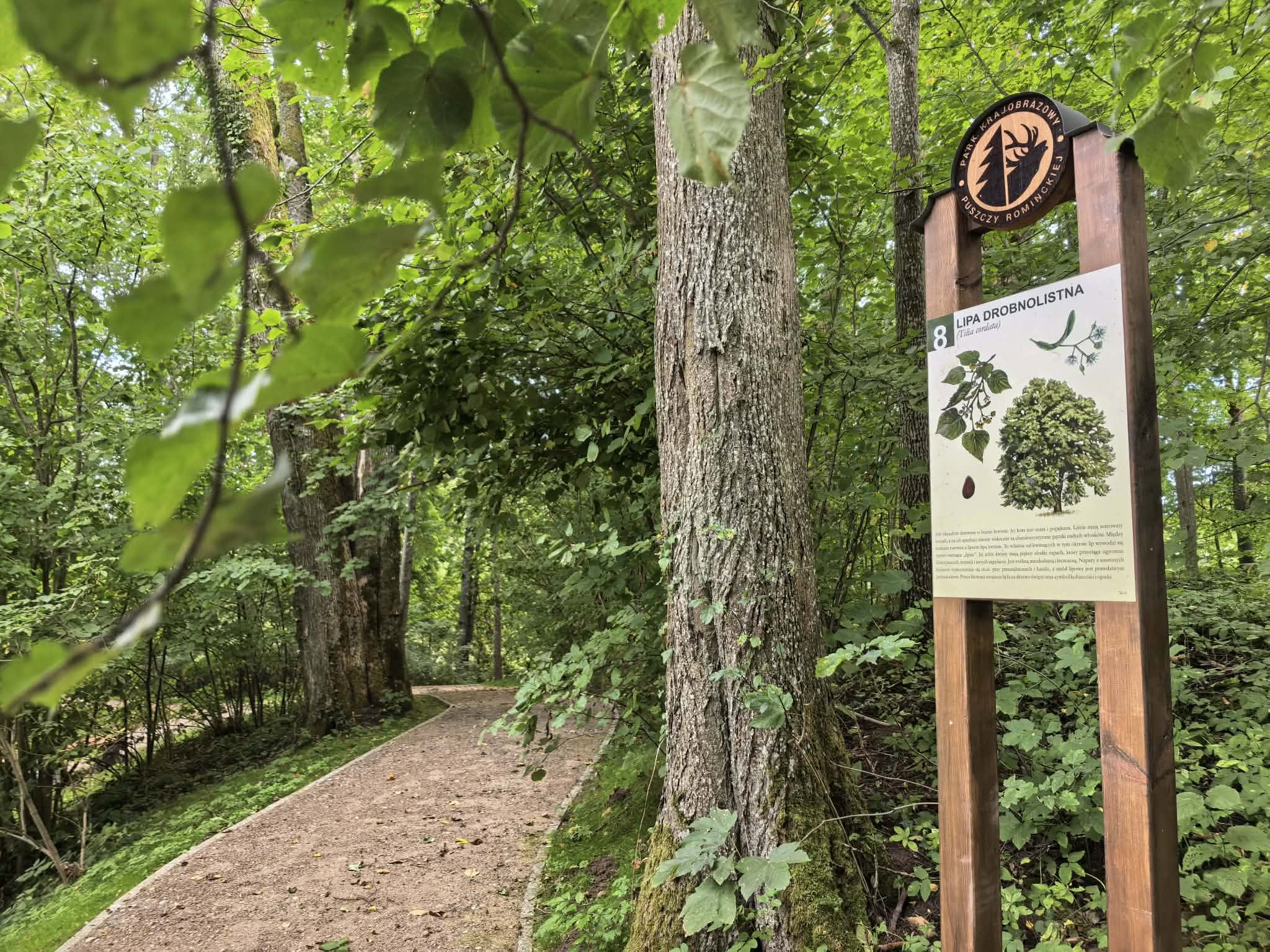 Po zakończonych pracach renowacyjnych park podworski w Bludziach zaprasza