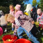 Jabłkowy zawrót głowy w Szkole Podstawowej w Boćwince