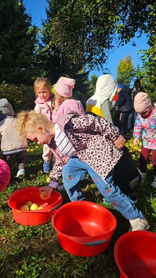 Jabłkowy zawrót głowy w Szkole Podstawowej w Boćwince