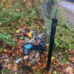 Czytelnicy informują. Pilnie potrzebny kontener!