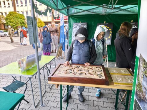 Obchody Światowego Dnia Zwierząt w Olsztynie z udziałem PKPR